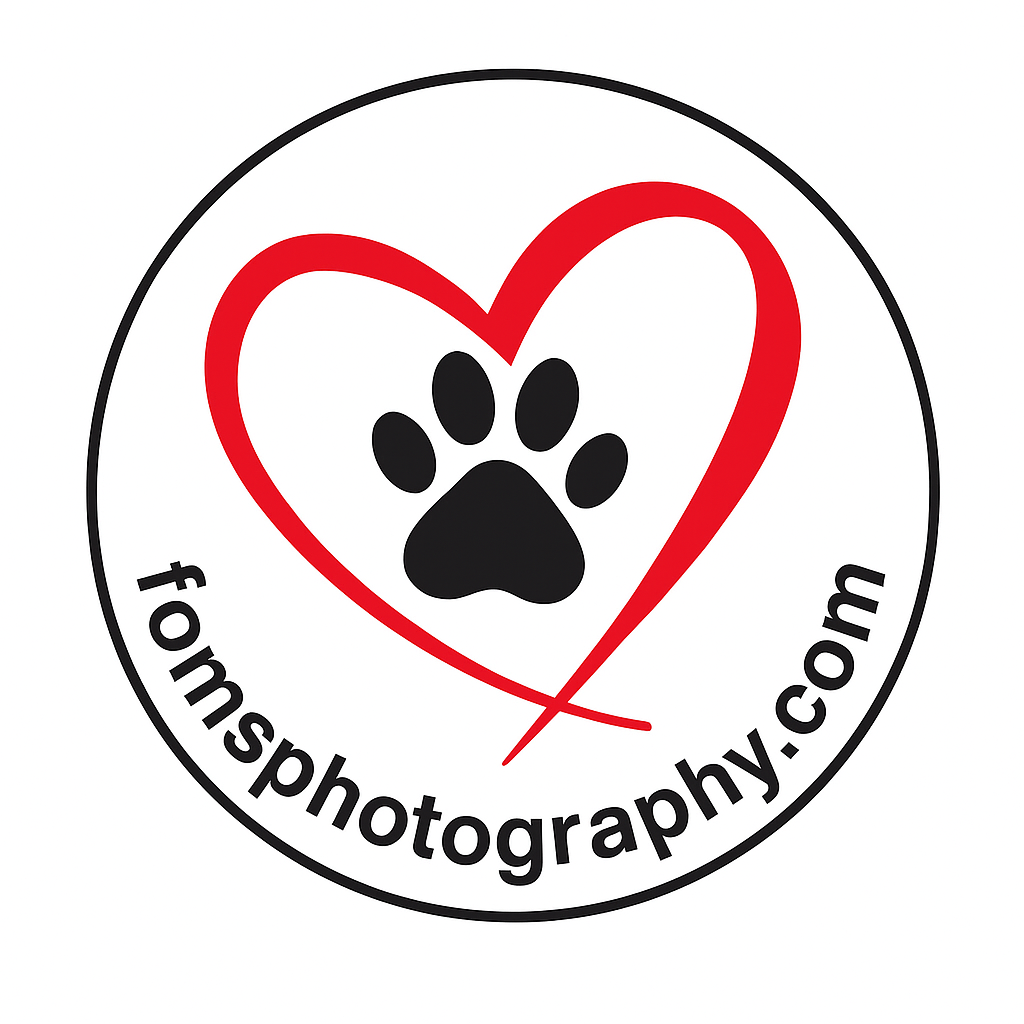 Friends Of Moldavian Strays Photography